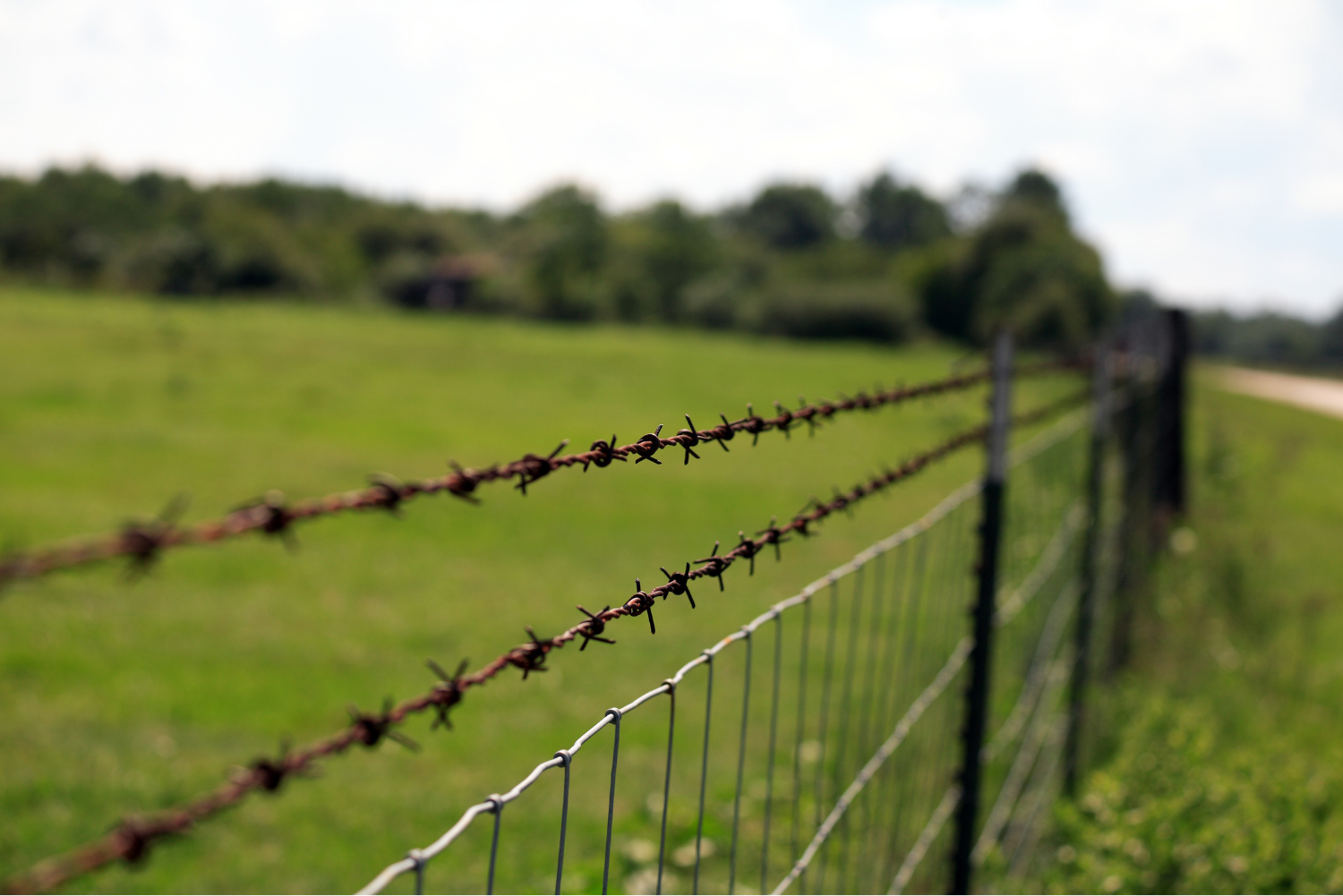 Barbed wire fencing above cattle panel fence line.